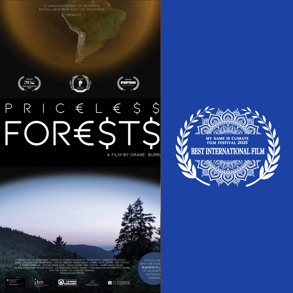 BEST INTERNATIONAL FILM AWARD au My Name is Climat Film Festival