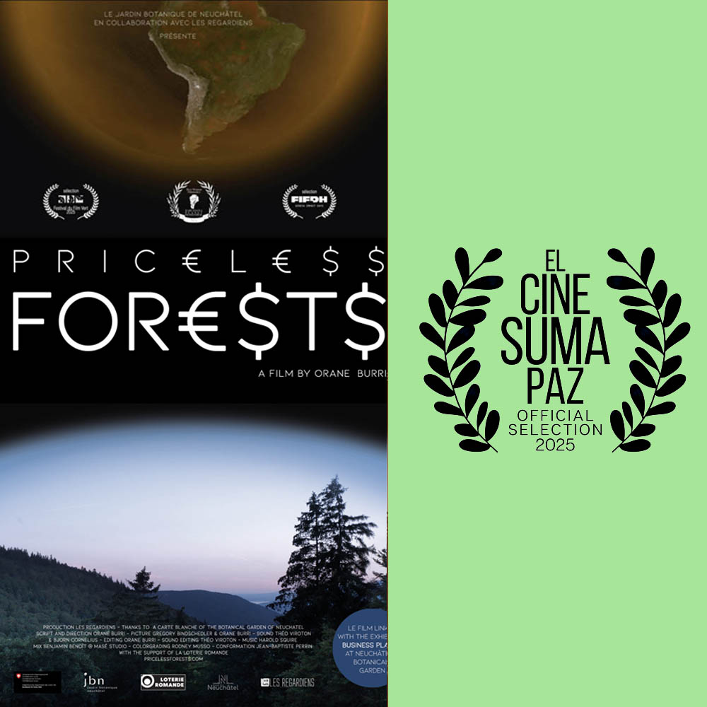 Sélection officielle Festival international « El Cine SumaPaz »